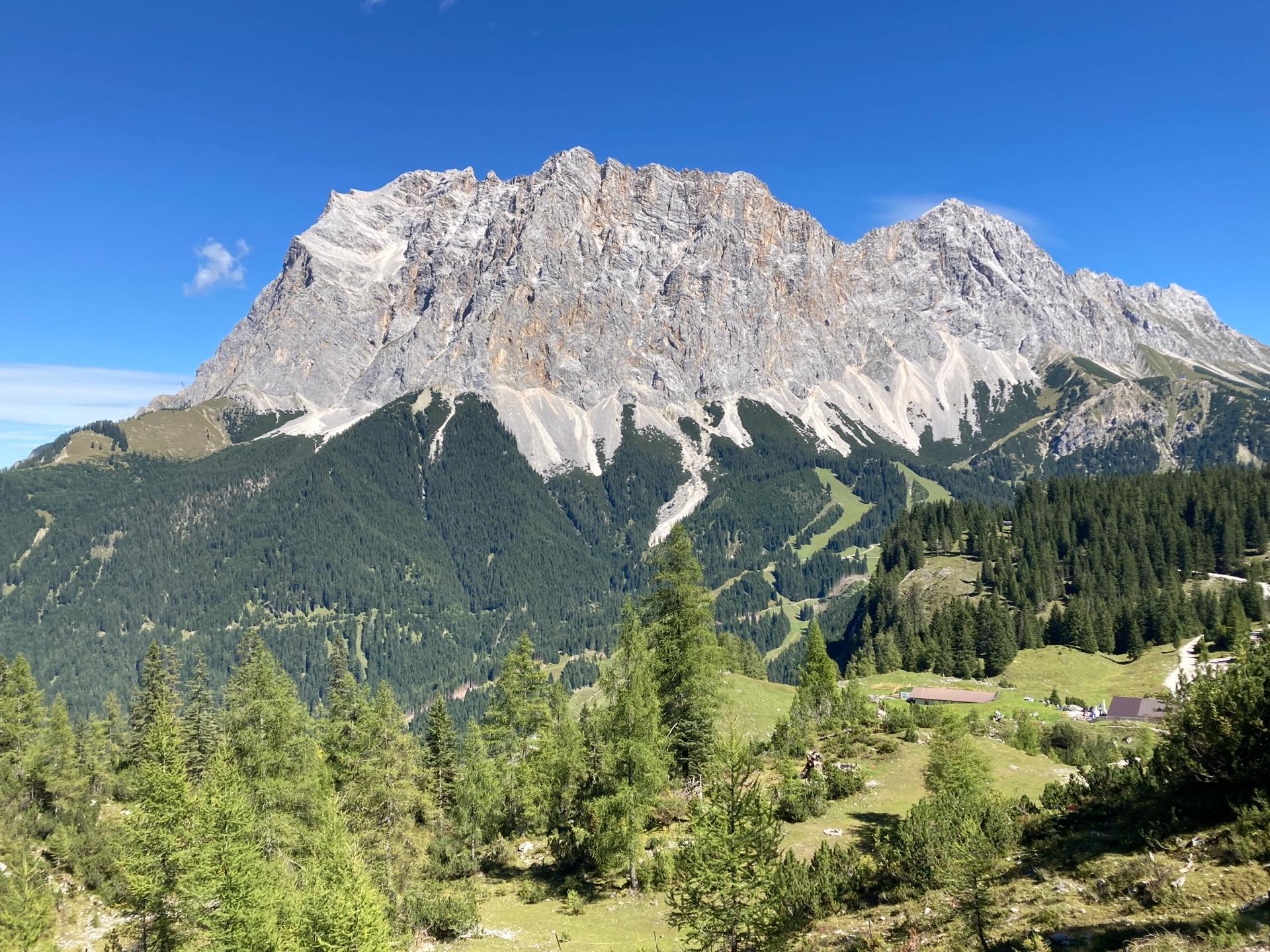 白銀に輝く 絶景の2つの山上ロッジ泊スイス・ホワイト・ハイキング 9日間 (入力テスト)